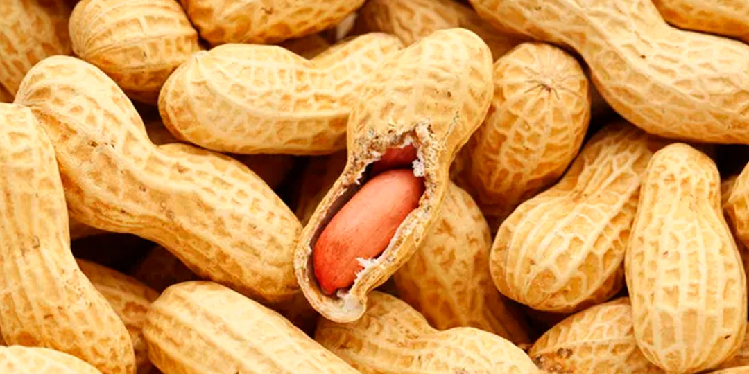 8 Benefícios do Amendoim